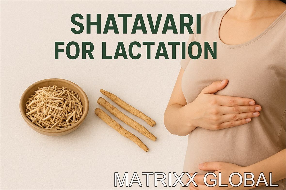 Shatavari for lactation